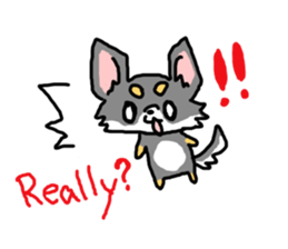 Chihuahua's Sticker ENGLISH VERSION sticker #7003100