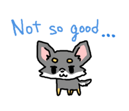 Chihuahua's Sticker ENGLISH VERSION sticker #7003101