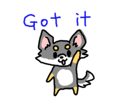 Chihuahua's Sticker ENGLISH VERSION sticker #7003102