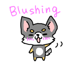 Chihuahua's Sticker ENGLISH VERSION sticker #7003103