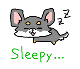 Chihuahua's Sticker ENGLISH VERSION sticker #7003104