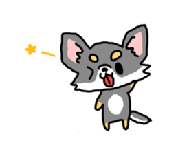 Chihuahua's Sticker ENGLISH VERSION sticker #7003105