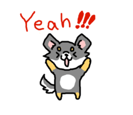 Chihuahua's Sticker ENGLISH VERSION sticker #7003107