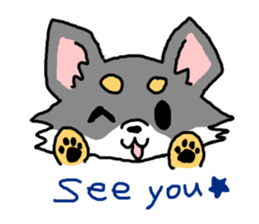 Chihuahua's Sticker ENGLISH VERSION sticker #7003108