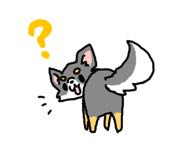 Chihuahua's Sticker ENGLISH VERSION sticker #7003113