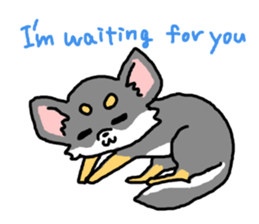 Chihuahua's Sticker ENGLISH VERSION sticker #7003115