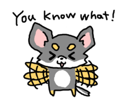 Chihuahua's Sticker ENGLISH VERSION sticker #7003117