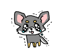 Chihuahua's Sticker ENGLISH VERSION sticker #7003118