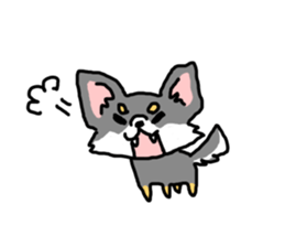 Chihuahua's Sticker ENGLISH VERSION sticker #7003119