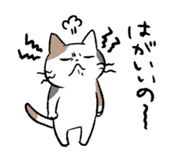 Cat in Yamaguchi 2 sticker #7003424