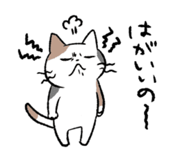 Cat in Yamaguchi 2 sticker #7003424