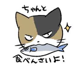 Cat in Yamaguchi 2 sticker #7003434