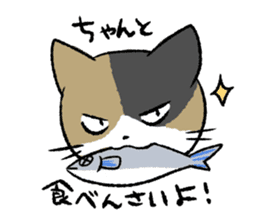 Cat in Yamaguchi 2 sticker #7003434