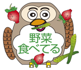 Owl's Heartwarming messages sticker #7007548