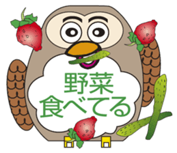 Owl's Heartwarming messages sticker #7007548