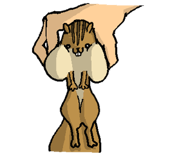 That chipmunk sticker #7010731