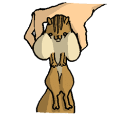 That chipmunk sticker #7010731