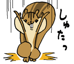 That chipmunk sticker #7010733