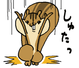 That chipmunk sticker #7010733