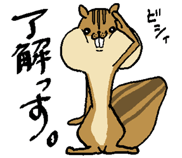 That chipmunk sticker #7010744