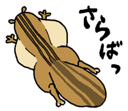 That chipmunk sticker #7010767