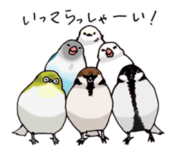 Birds live at their own pace 3. sticker #7011088