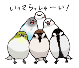 Birds live at their own pace 3. sticker #7011088