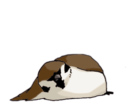 Birds live at their own pace 3. sticker #7011094