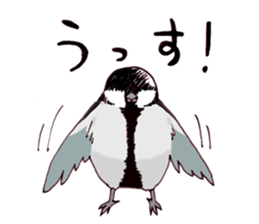 Birds live at their own pace 3. sticker #7011100