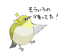 Birds live at their own pace 3. sticker #7011101