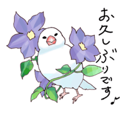 Birds live at their own pace 3. sticker #7011103