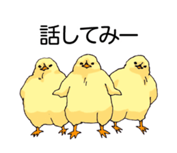 Birds live at their own pace 3. sticker #7011104