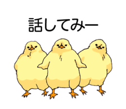 Birds live at their own pace 3. sticker #7011104