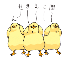 Birds live at their own pace 3. sticker #7011105