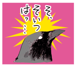 Birds live at their own pace 3. sticker #7011106