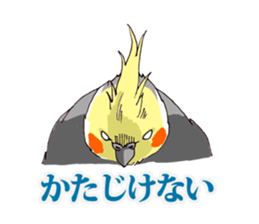 Birds live at their own pace 3. sticker #7011108