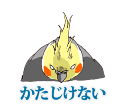 Birds live at their own pace 3. sticker #7011108