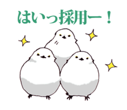 Birds live at their own pace 3. sticker #7011111