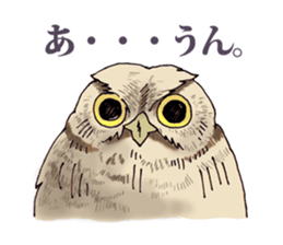 Birds live at their own pace 3. sticker #7011113