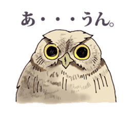 Birds live at their own pace 3. sticker #7011113