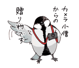 Birds live at their own pace 3. sticker #7011114