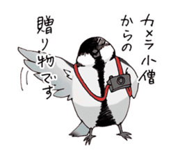 Birds live at their own pace 3. sticker #7011114