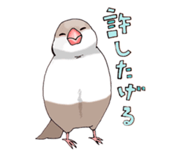 Birds live at their own pace 3. sticker #7011117