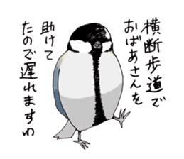 Birds live at their own pace 3. sticker #7011118