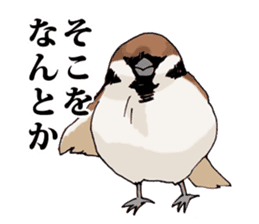 Birds live at their own pace 3. sticker #7011119