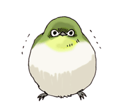 Birds live at their own pace 3. sticker #7011120