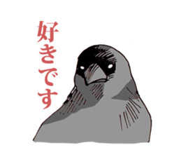 Birds live at their own pace 3. sticker #7011122