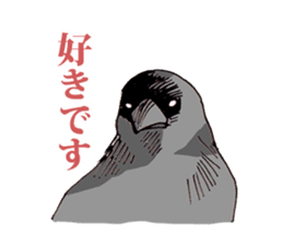 Birds live at their own pace 3. sticker #7011122