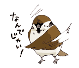 Birds live at their own pace 3. sticker #7011126