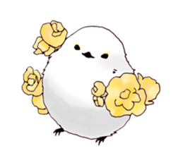 Birds live at their own pace 3. sticker #7011127